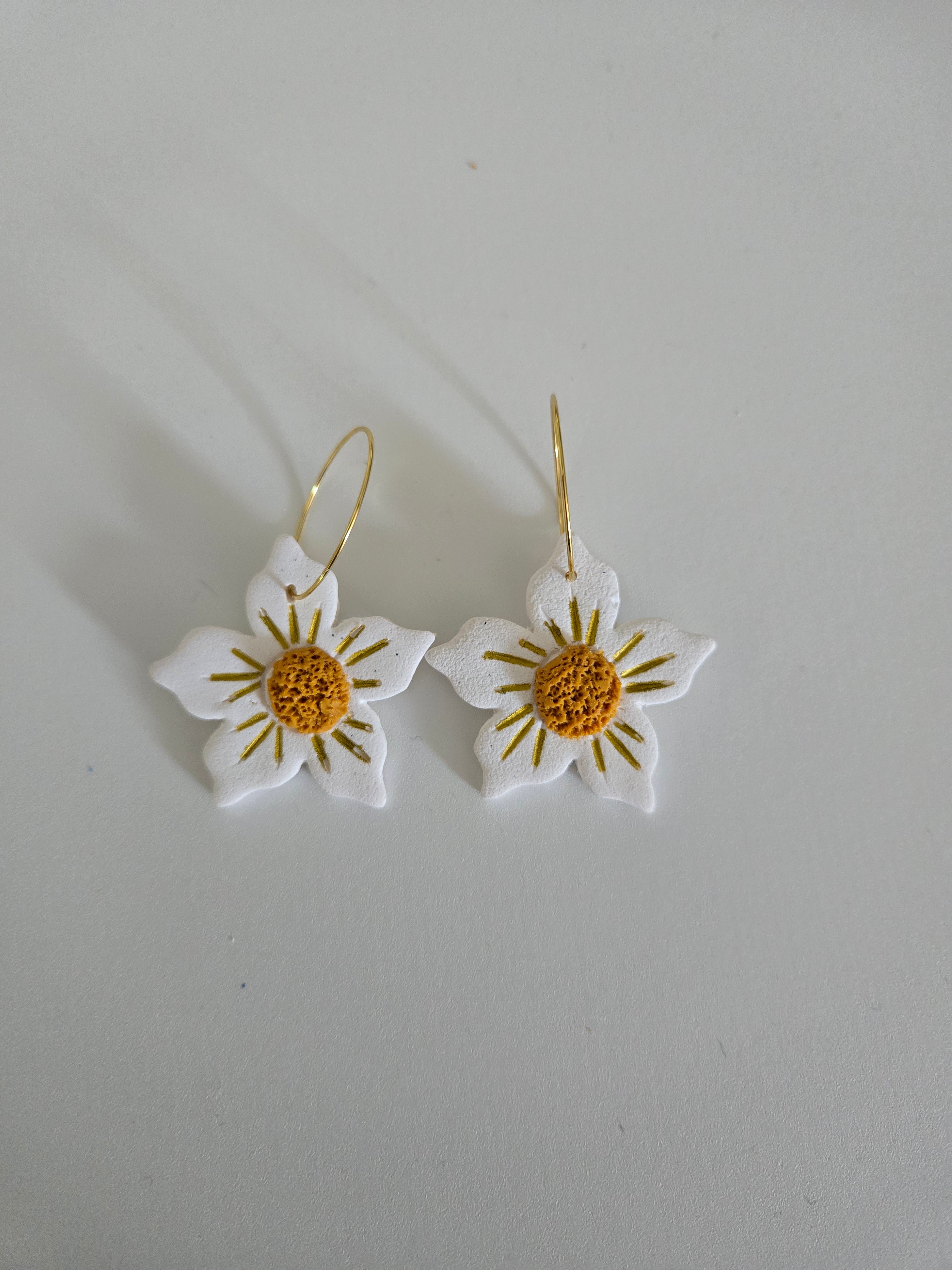 Daisies
